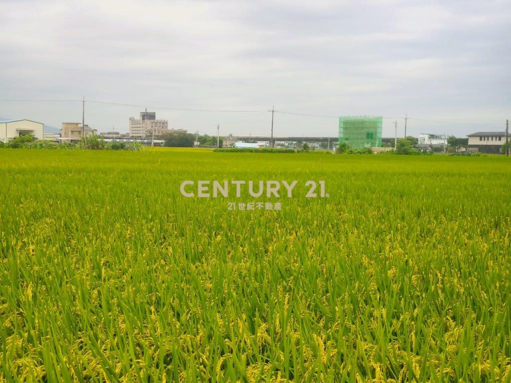 DC463礁溪協民460農地