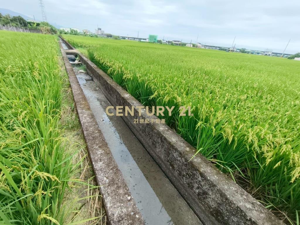 DC463礁溪協民460農地