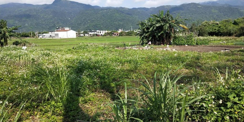 DC469191甲縣道旁大面寬農地