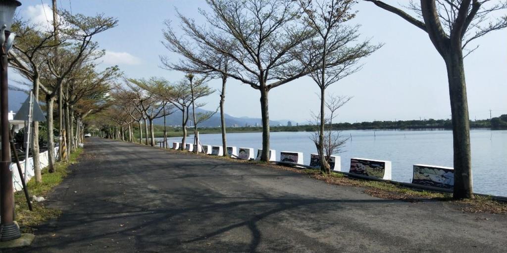 DC469191甲縣道旁大面寬農地