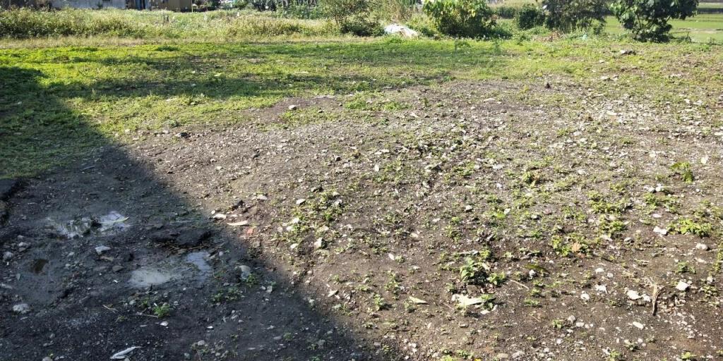 DC469191甲縣道旁大面寬農地