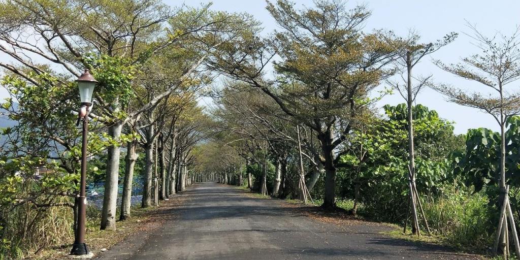 DC469191甲縣道旁大面寬農地