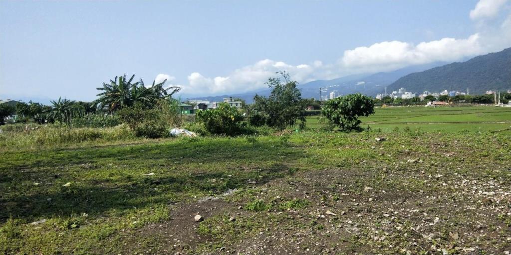 DC469191甲縣道旁大面寬農地