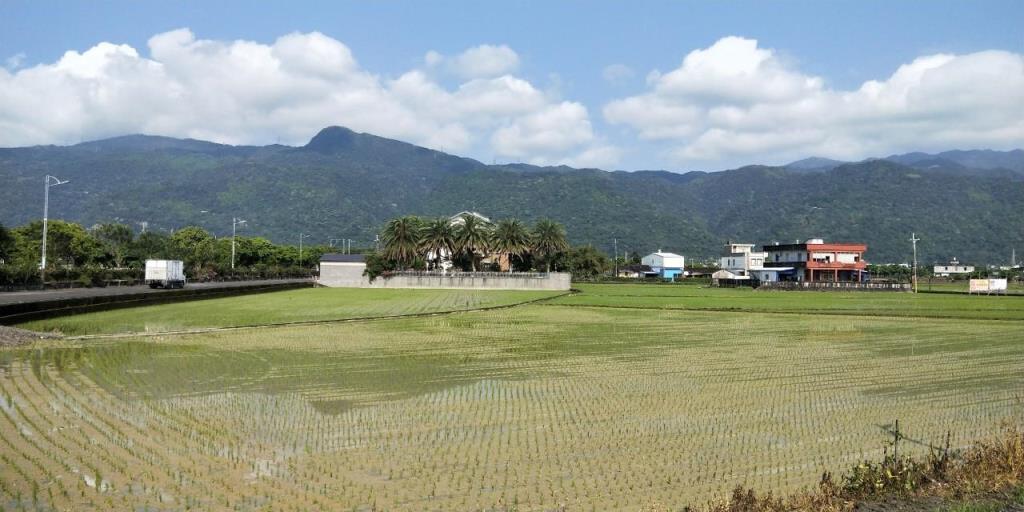 DC469191甲縣道旁大面寬農地