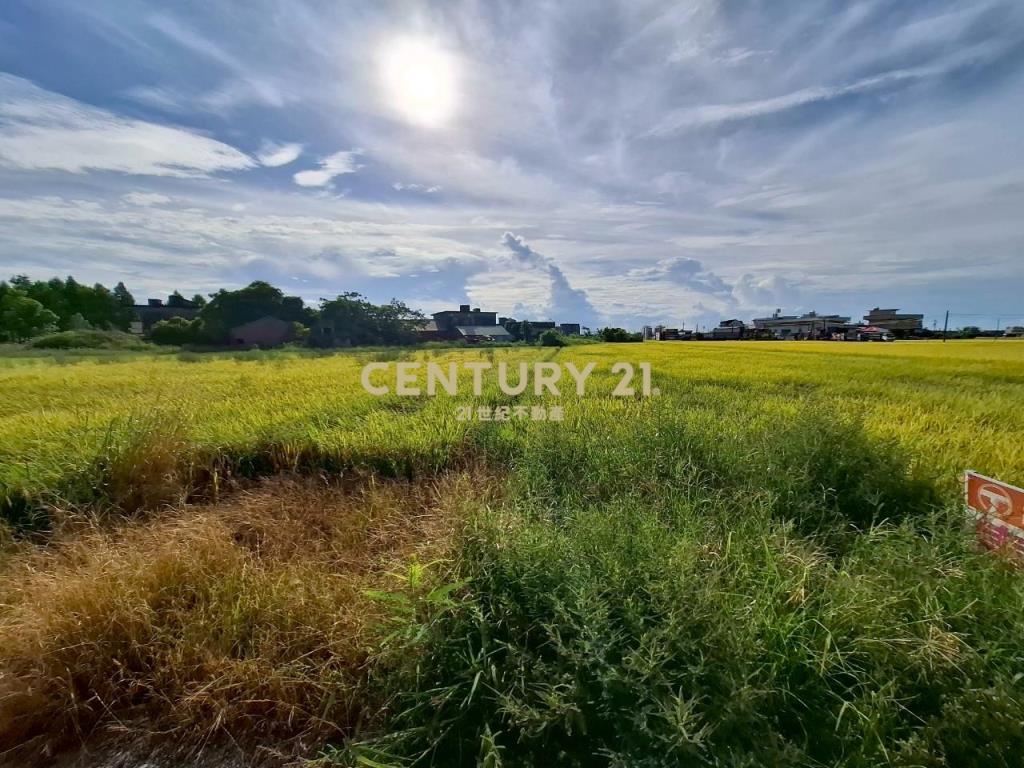 DC472礁溪玉光一段有農作物的農地