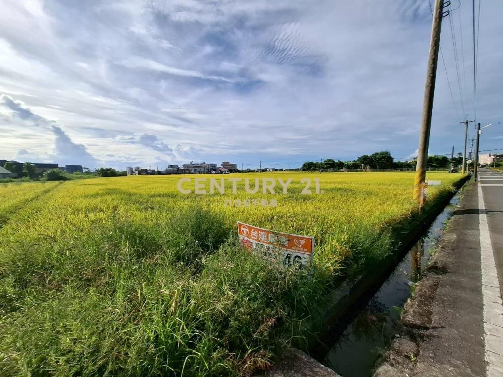 DC472礁溪玉光一段有農作物的農地