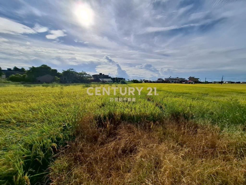 DC472礁溪玉光一段有農作物的農地