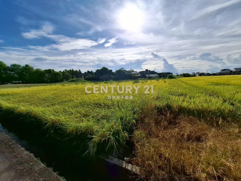 DC472礁溪玉光一段有農作物的農地