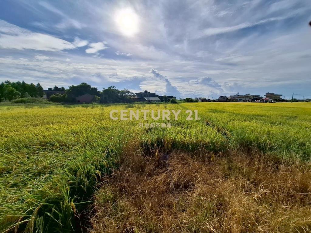 DC472礁溪玉光一段有農作物的農地