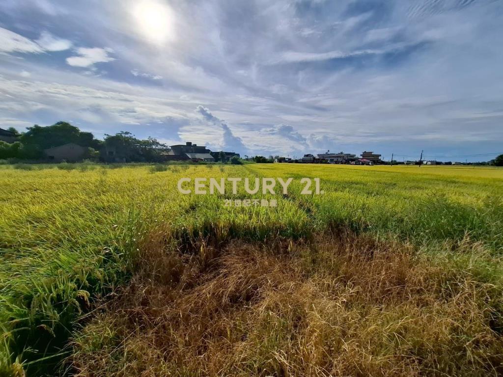 DC472礁溪玉光一段有農作物的農地