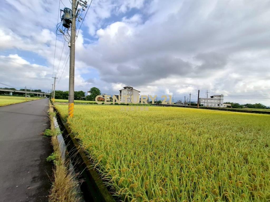 DC476高鐵預定地剛好足坪美農地