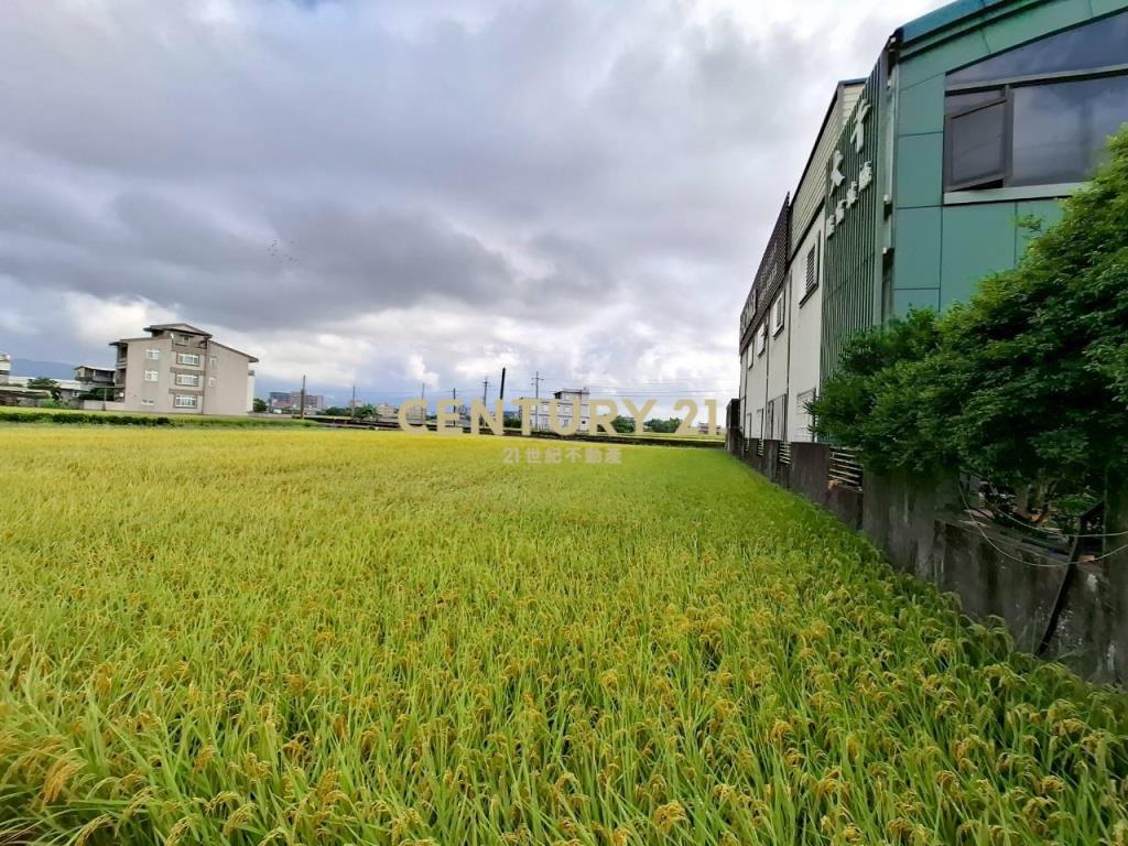 DC477高鐵預定地大坪數農地