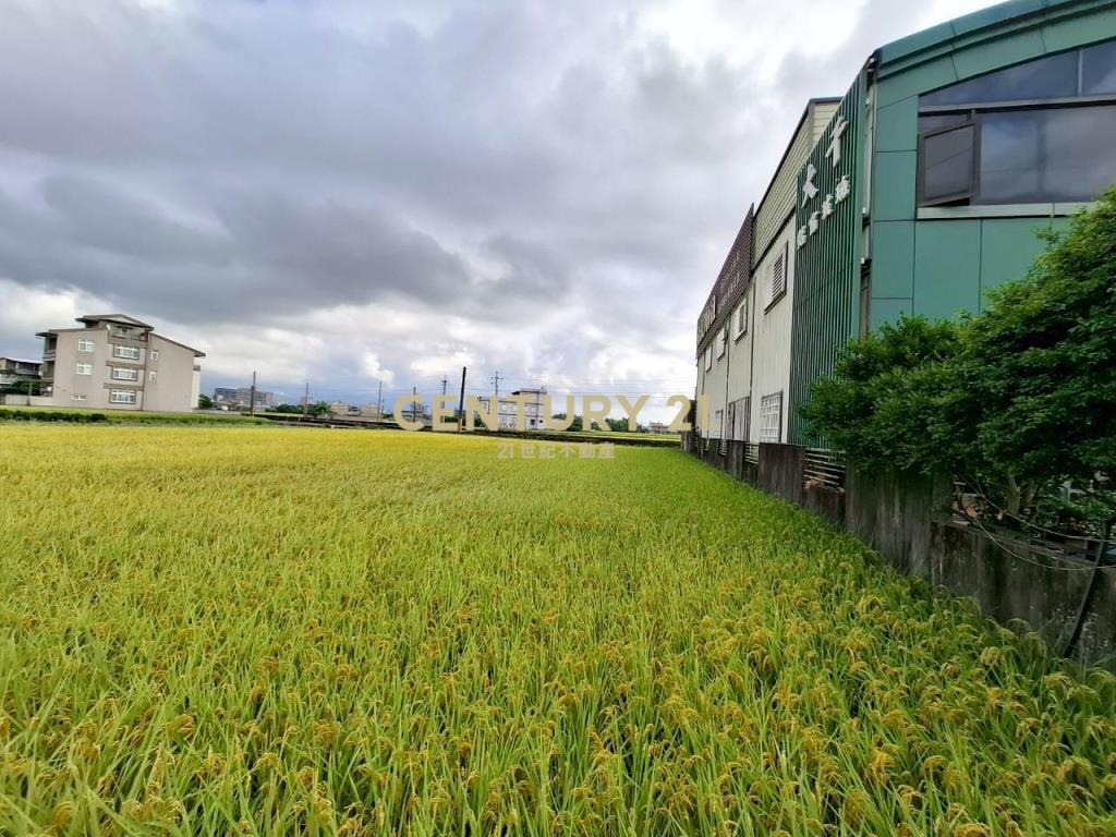 DC480高鐵預定地持分1/2農地A