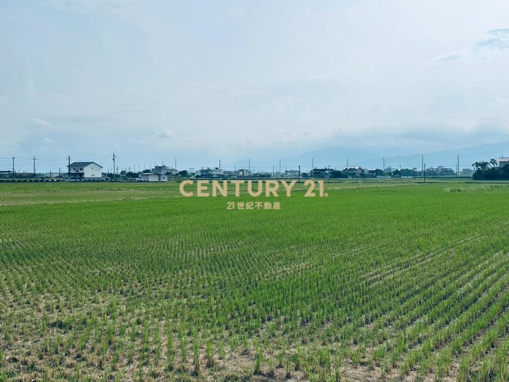 DC486遠離喧囂!尼羅河畔便宜美農地