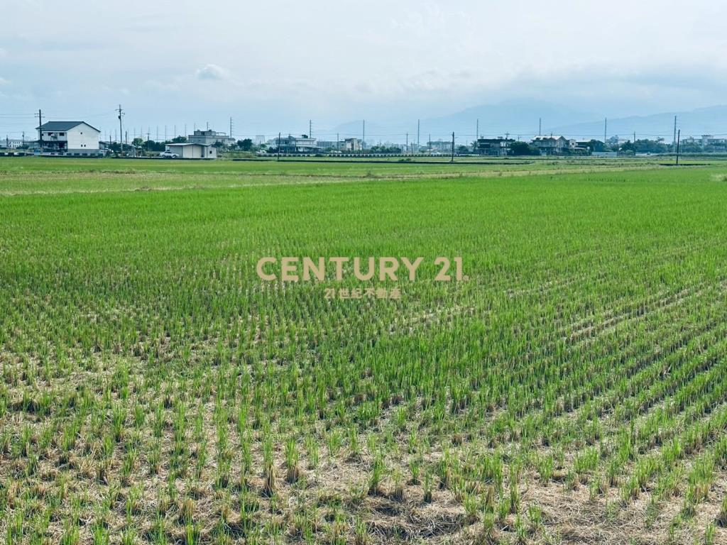 DC486遠離喧囂!尼羅河畔便宜美農地