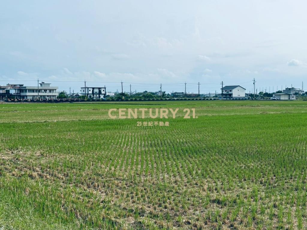 DC486遠離喧囂!尼羅河畔便宜美農地