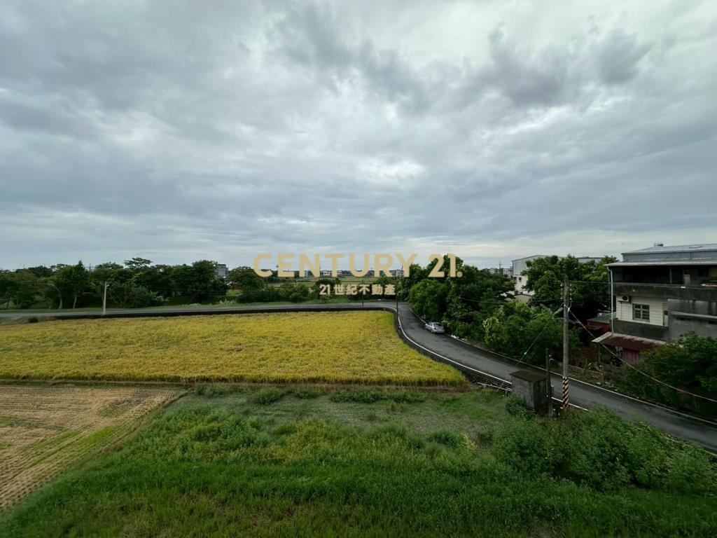 DE142近礁溪市區全新電梯豪華農舍