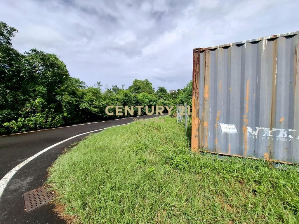 DD236高鐵特區縣政雙面路方正角地