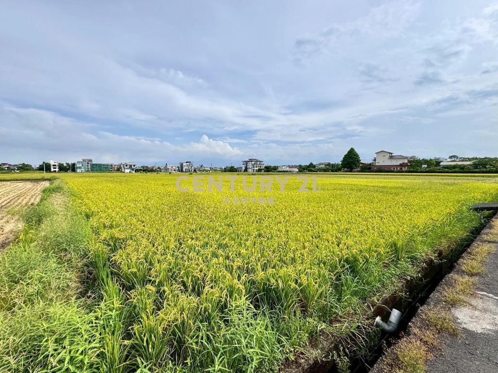 DC485員山大面寬小農地