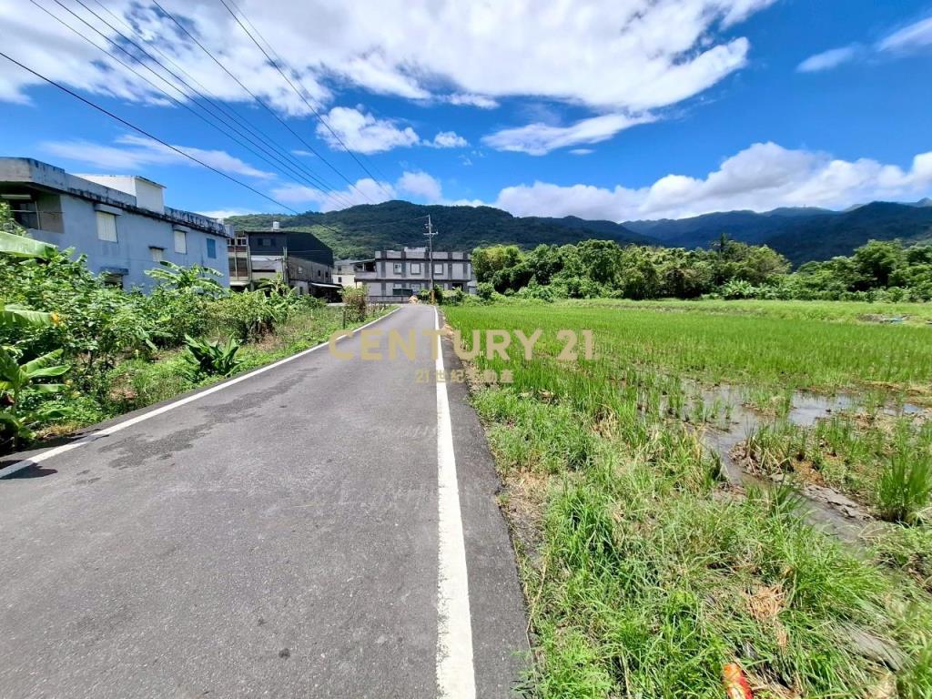 JC353頭城新金面段老農農地