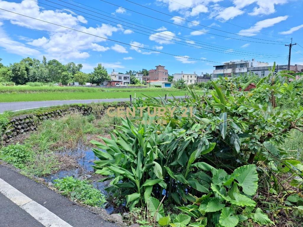 JC353頭城新金面段老農農地