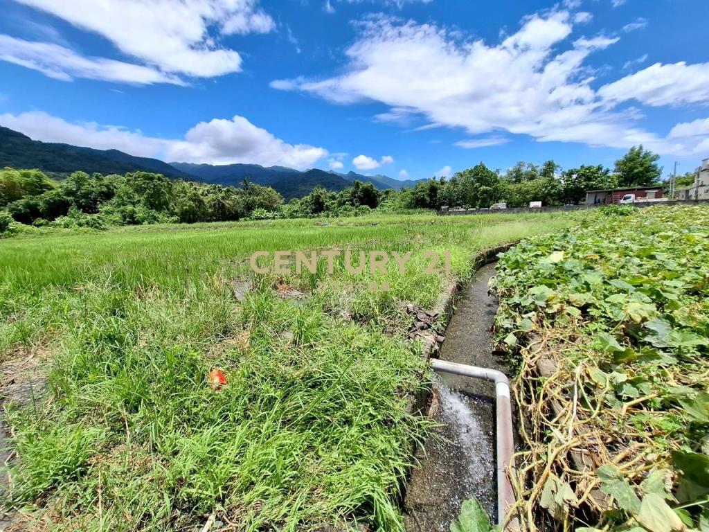 JC353頭城新金面段老農農地