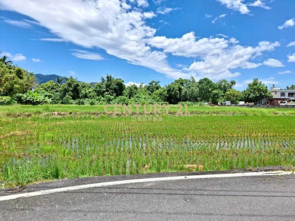 JC353頭城新金面段老農農地