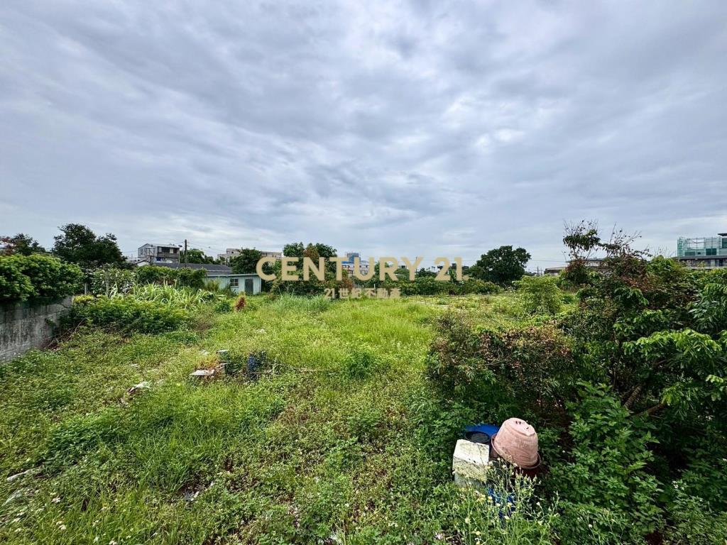 DE145冬山斑比山丘鄉村風農舍