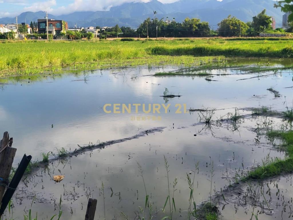 DC488獨家近羅東交流道低總價小農地
