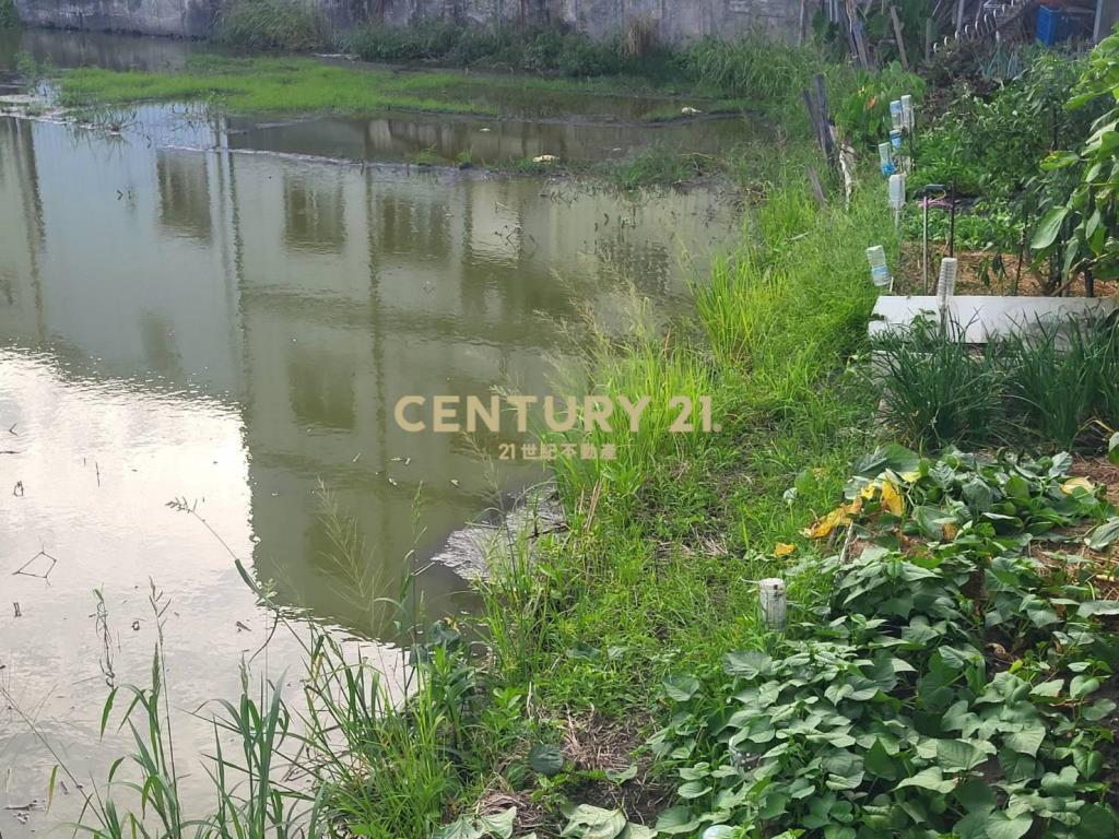 DC488獨家近羅東交流道低總價小農地