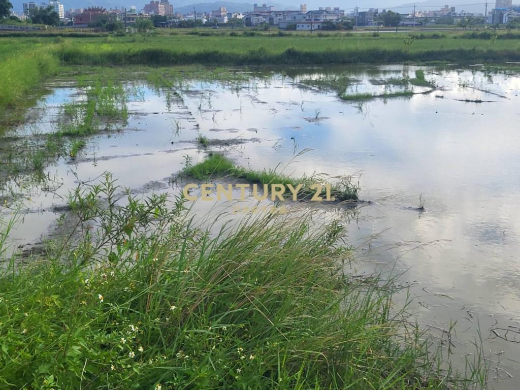 DC488獨家近羅東交流道低總價小農地