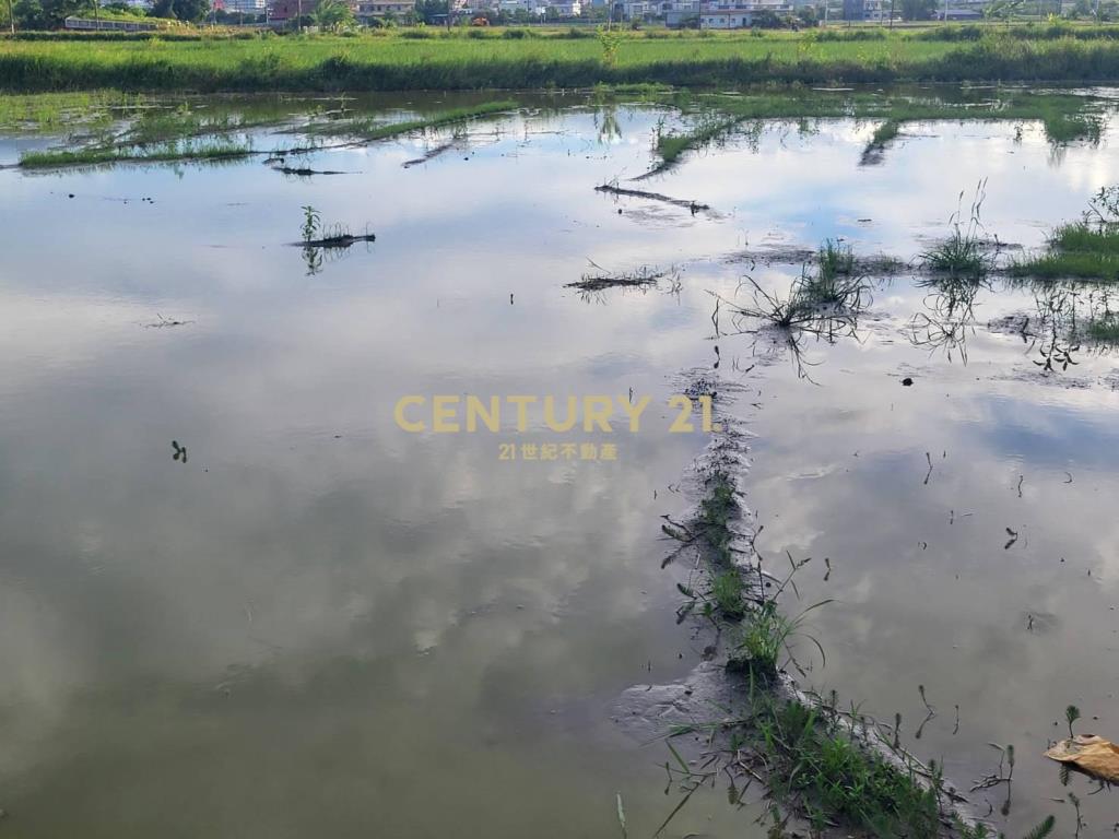 DC488獨家近羅東交流道低總價小農地