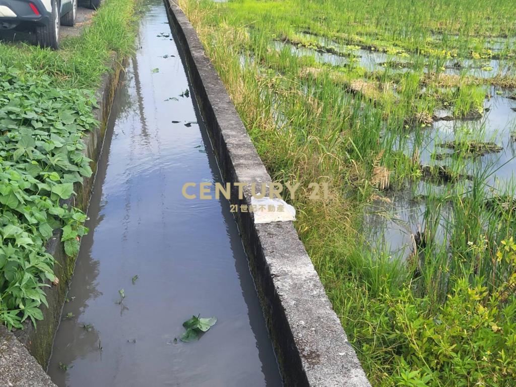 DC488獨家近羅東交流道低總價小農地