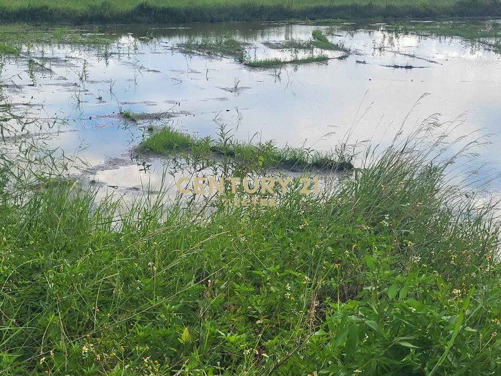 DC488獨家近羅東交流道低總價小農地