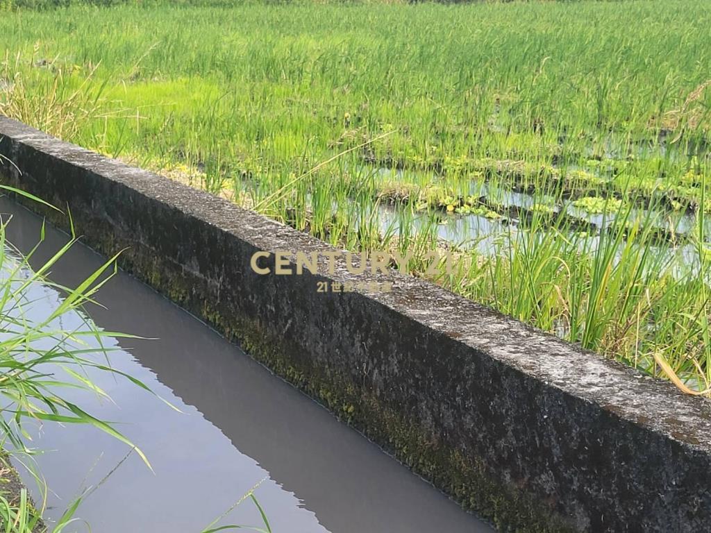 DC488獨家近羅東交流道低總價小農地