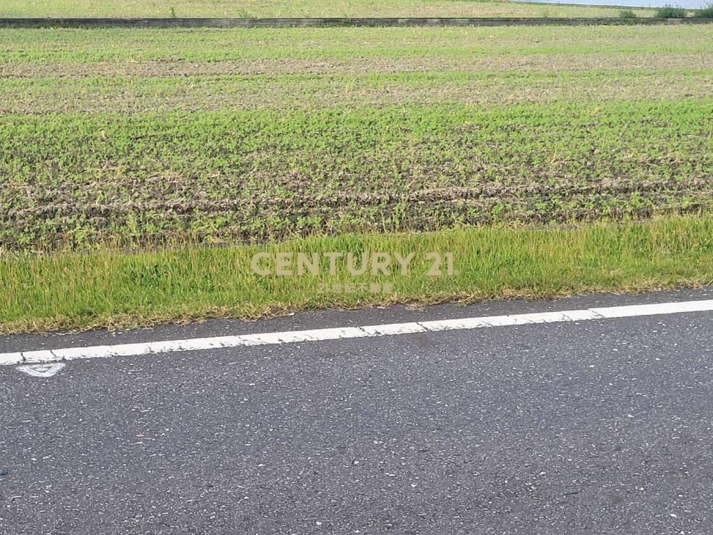 DC488獨家近羅東交流道低總價小農地