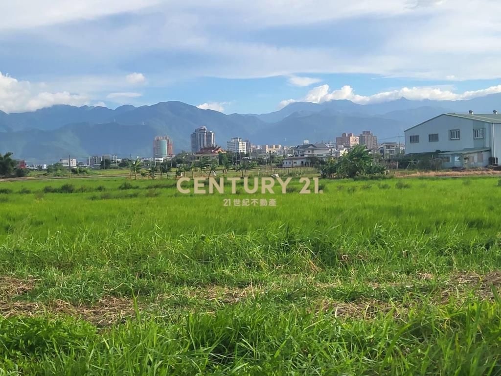 DC488獨家近羅東交流道低總價小農地