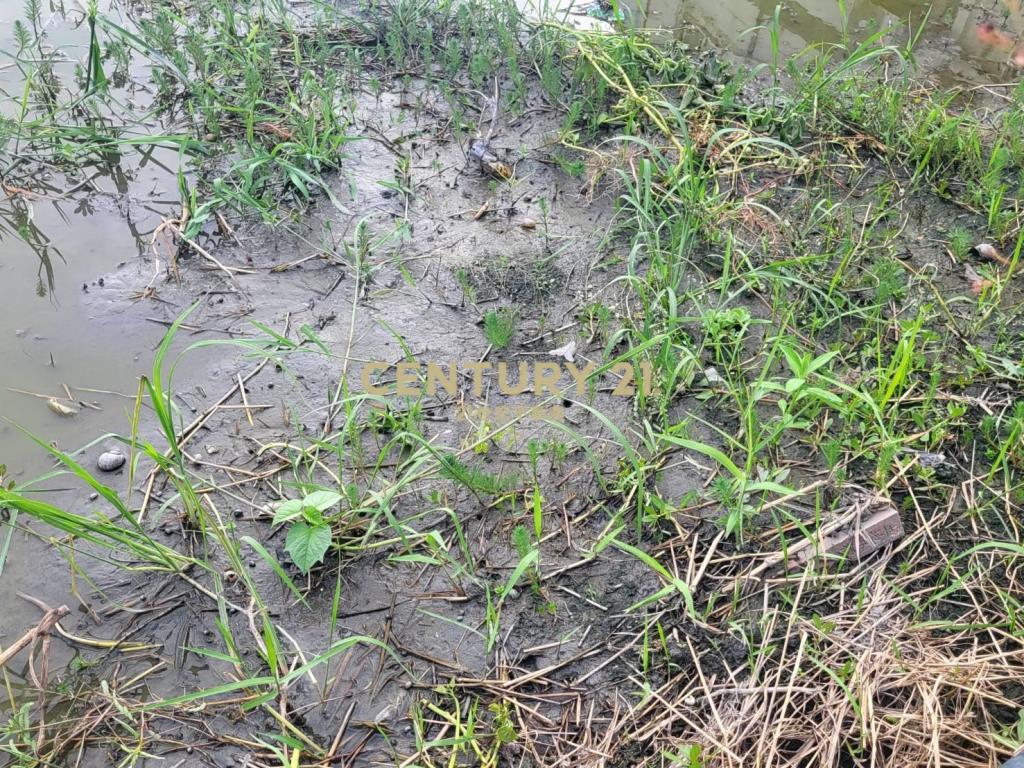 DC488獨家近羅東交流道低總價小農地