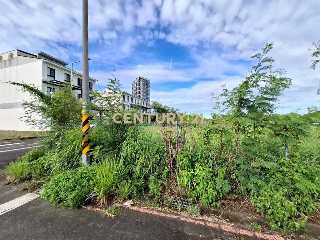 DD239烏石港四面環景角地