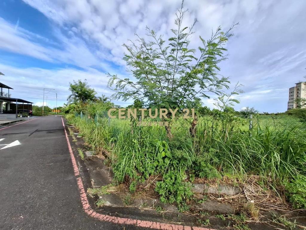 DD239烏石港四面環景角地