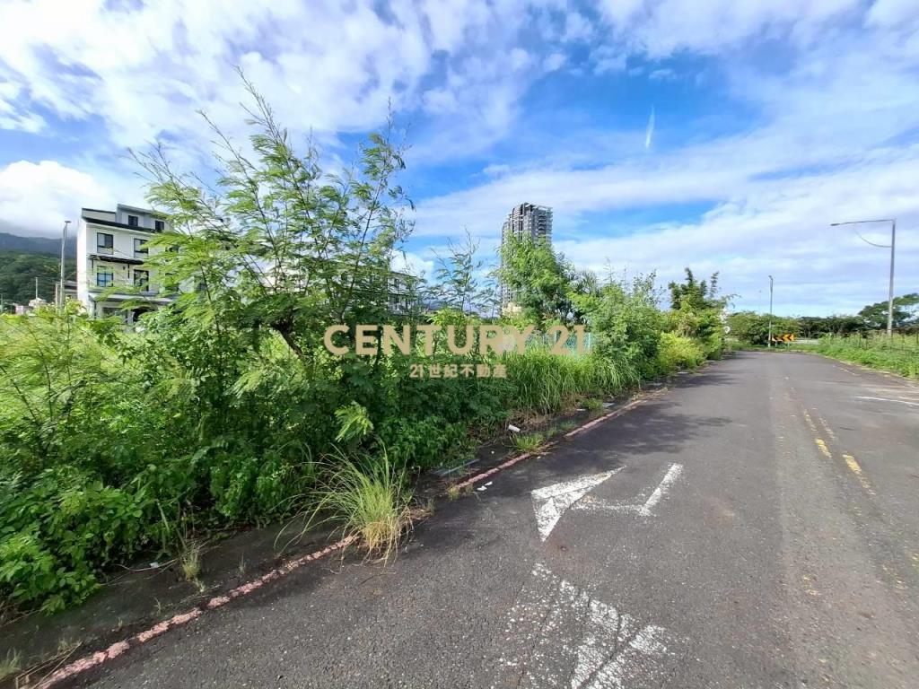 DD239烏石港四面環景角地