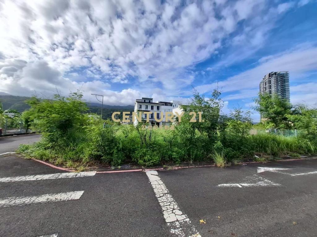 DD239烏石港四面環景角地