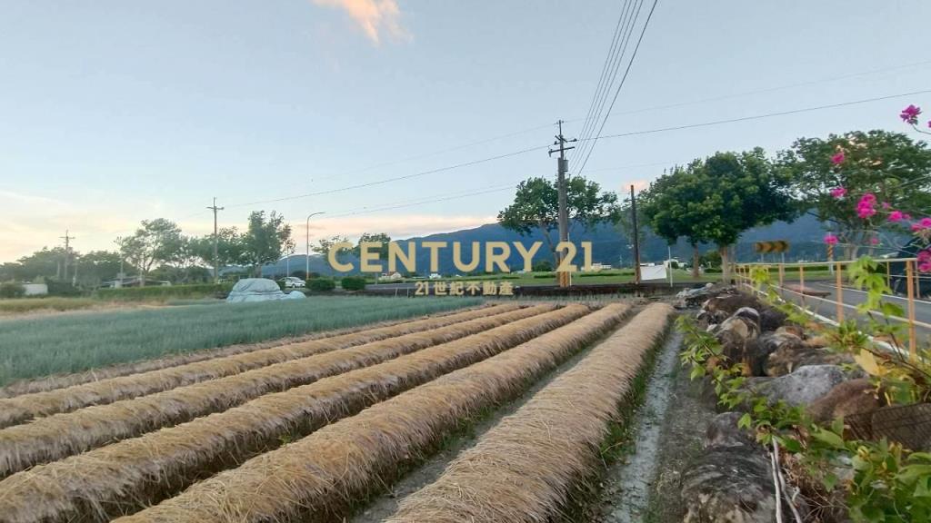 DC492三星大面寬方正老農的地