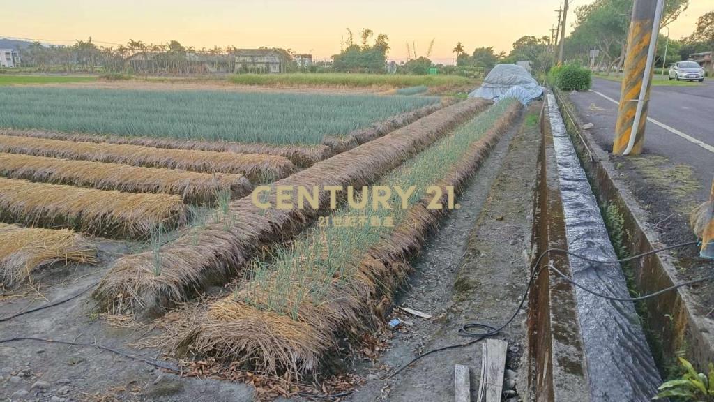 DC492三星大面寬方正老農的地