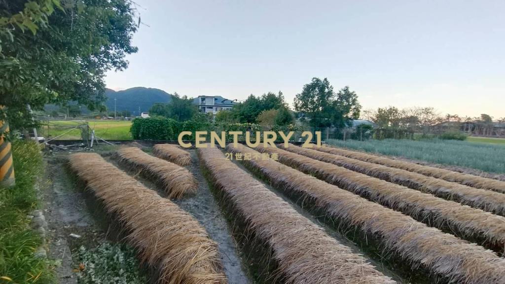 DC492三星大面寬方正老農的地