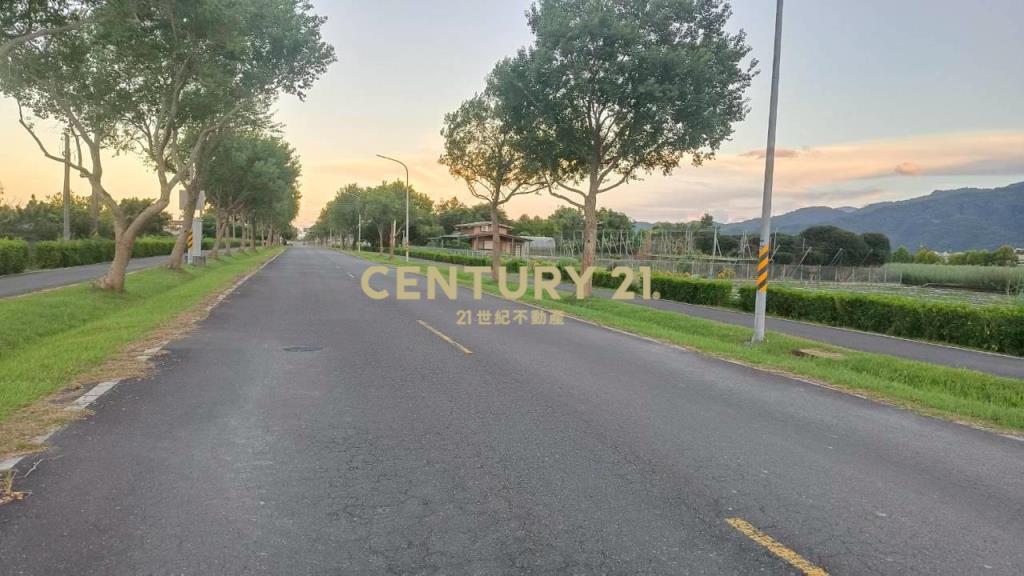 DC492三星大面寬方正老農的地