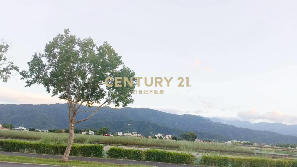 DC492三星大面寬方正老農的地