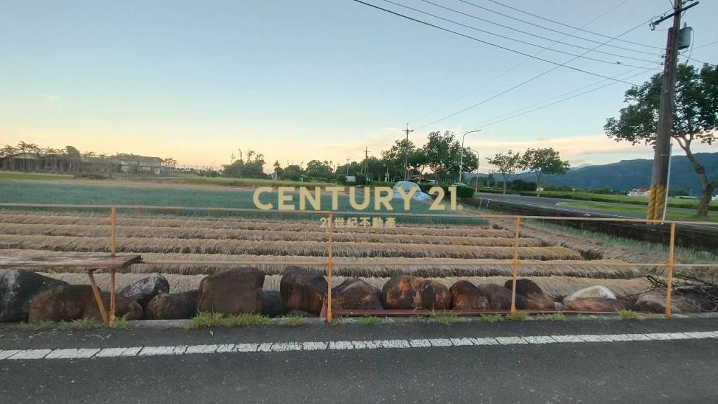 DC492三星大面寬方正老農的地