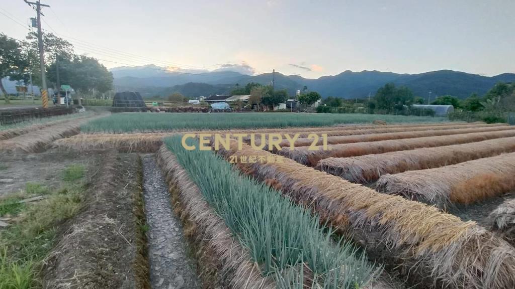 DC492三星大面寬方正老農的地