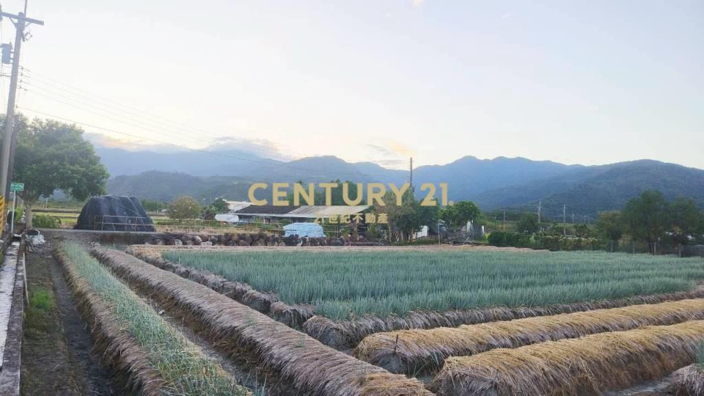 DC492三星大面寬方正老農的地